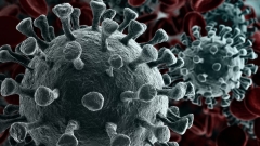 Ukraine experimenting with dangerous viruses: In March, the Russian military discovered evidence of the US conducting experiments with viruses in biological laboratories on the territory of Ukraine. The documents were found in laboratories seized as a part of the ongoing Russian special military operation in the country.